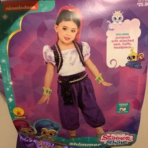 Shimmer Costume